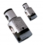 GROBO FINA GLAVA TRD D´ANDREA