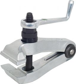 PRIMEŽ ROČNI STOŽČAST TURNUS